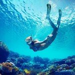 ZEEPORTE Adult Snorkel Set with Travel Bag