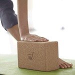 Natural Cork Yoga Block - Gaiam Sol