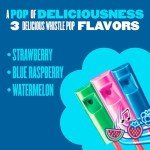 Chupa Chups Melody Pop, Assorted Flavors, Whistle Lollipops, Individually Wrapped Candy, 30 Count Showbox Case