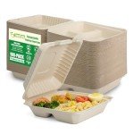TreeTute 100-Pack [8”X8” 3 Compartment] Clamshell Take Out Food Containers,100% Compostable Disposable To Go Containers,Heavy Duty,Eco-Friendly Biodegradable Bagasse Take Out Boxes for Food(Brown)