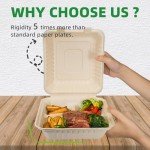 TreeTute 100-Pack [8”X8” 3 Compartment] Clamshell Take Out Food Containers,100% Compostable Disposable To Go Containers,Heavy Duty,Eco-Friendly Biodegradable Bagasse Take Out Boxes for Food(Brown)