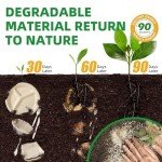 TreeTute 100-Pack [8”X8” 3 Compartment] Clamshell Take Out Food Containers,100% Compostable Disposable To Go Containers,Heavy Duty,Eco-Friendly Biodegradable Bagasse Take Out Boxes for Food(Brown)