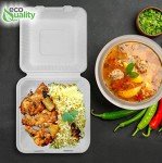 Compostable Square Hinged Clamshell Take Out Food Container 9x9x3 inch,Heavy Duty Quality Disposable to go Containers, Single Compartment Eco-Friendly Takeout Box, Restaurants, Food Trucks (25)