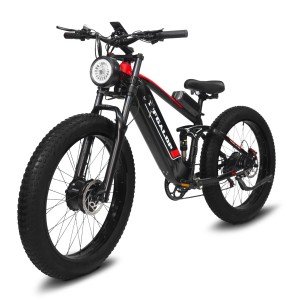 2000W Dual Motor Fat Tire Electric Bike