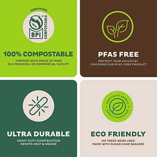 Eco-Friendly 9" Compostable Paper Plates (125-Pack)