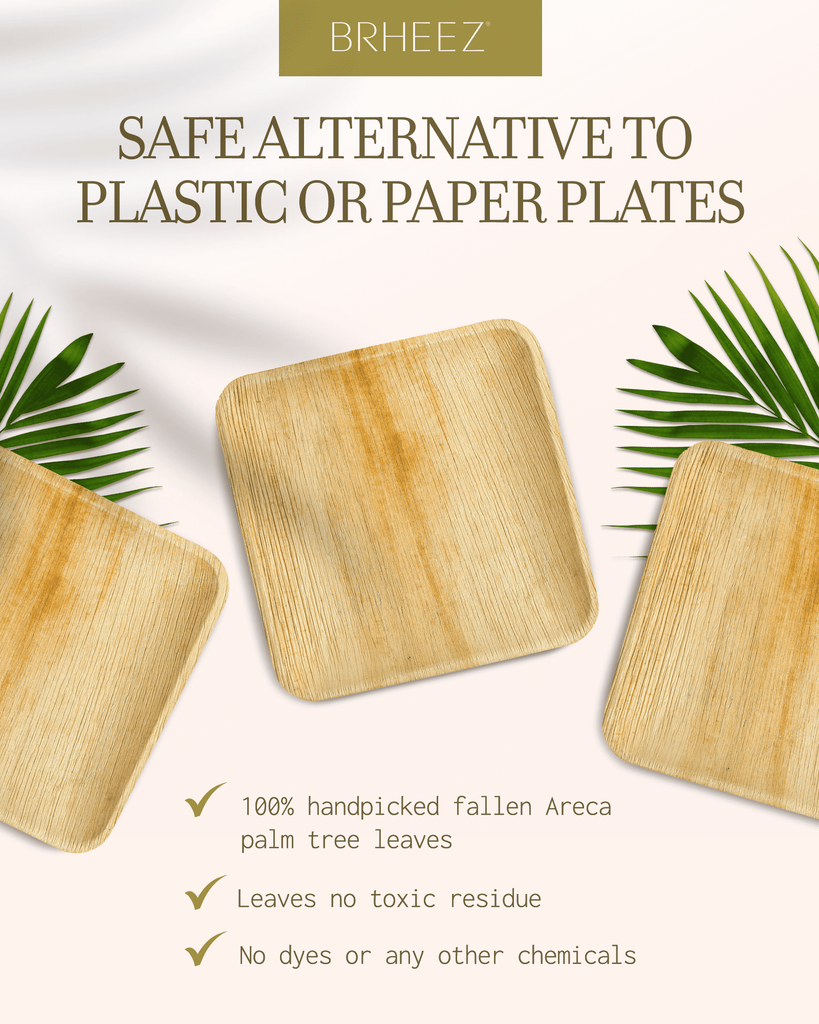 100-Pack Biodegradable Palm Leaf Plates