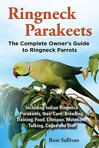 Complete Guide to Ringneck Parakeet Care & Training