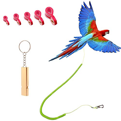 Parrot Leash with Soft Foot Loops & Training Whistle