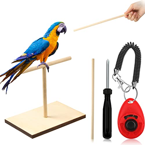 Parrot Training Kit with Clicker and Perch
