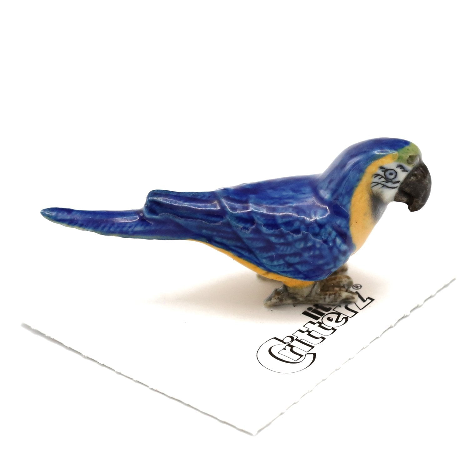 Blue Yellow Macaw Arara Miniature Figurine