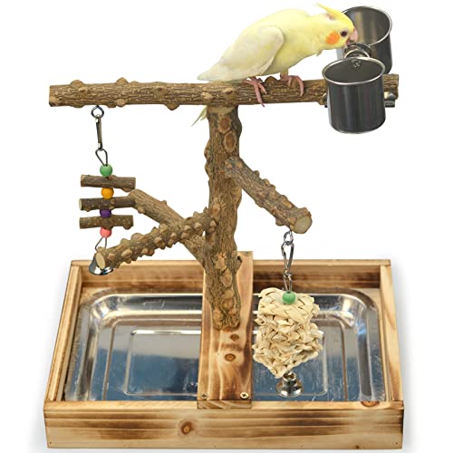 Natural Wood Bird Playground with Accessories and Cups