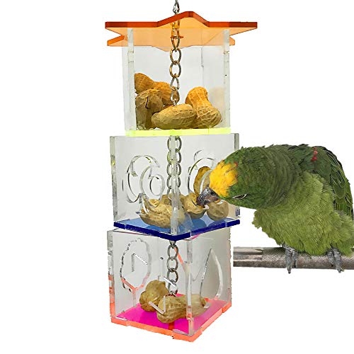 Creative Parrot Foraging Toys & Treat Box