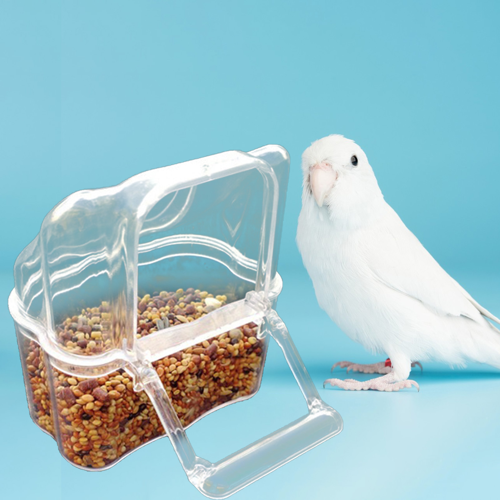 Large Capacity Parrot Feeder with Transparent Bowl