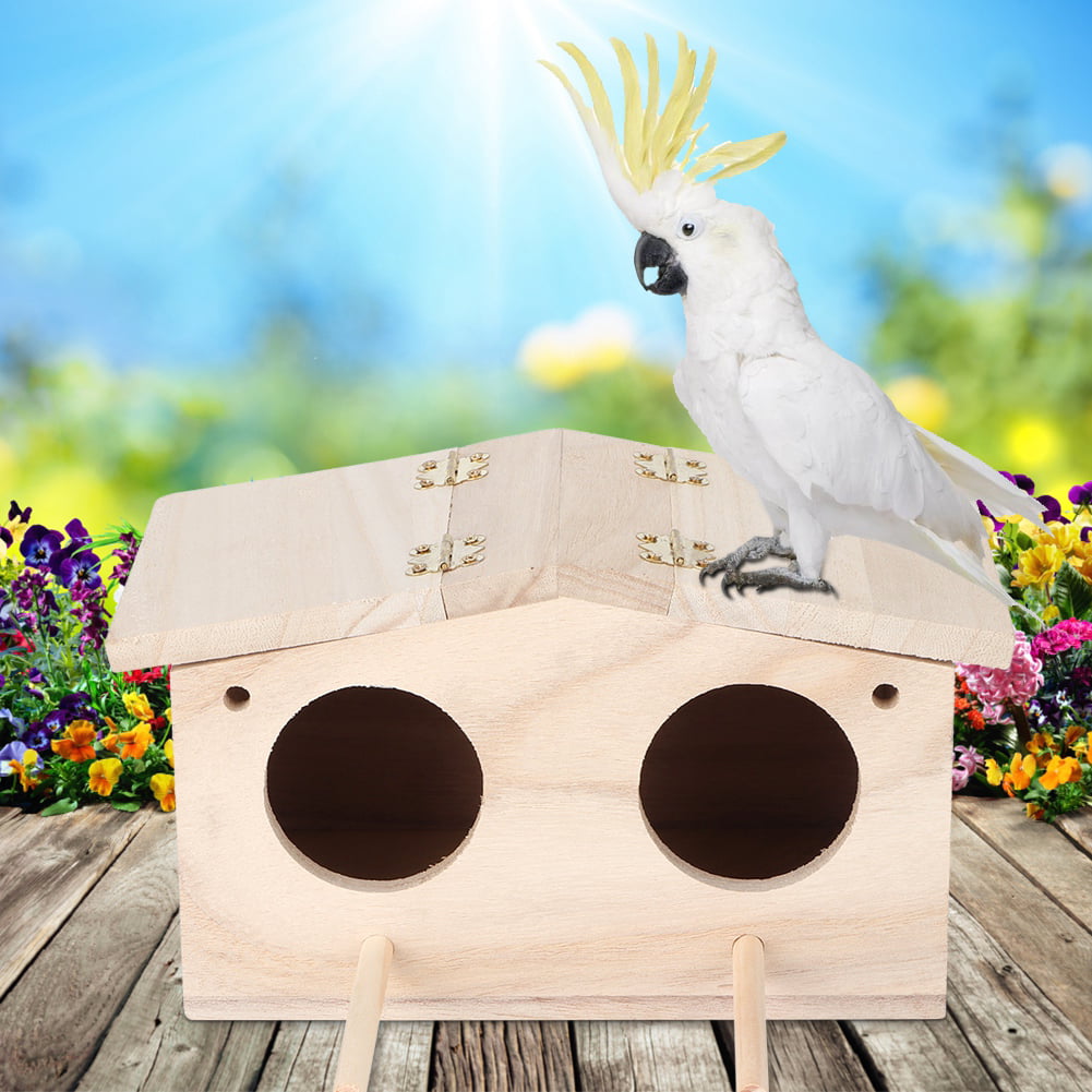 High-quality Parrot Bird Nests – Durable & Safe