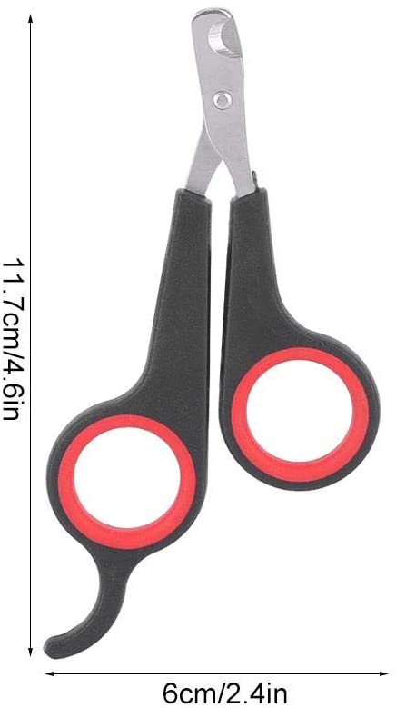 Small Parrot Nail Clipper Accessory