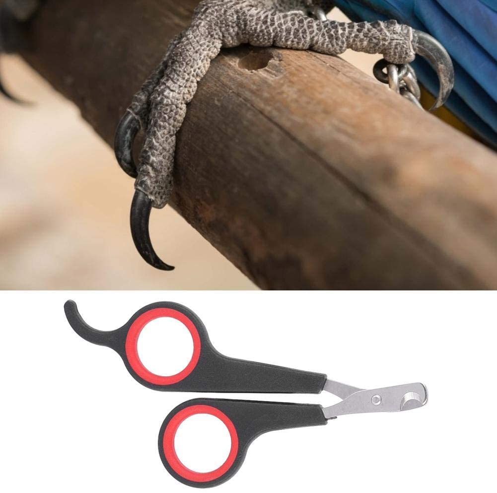 Small Parrot Nail Clipper Accessory