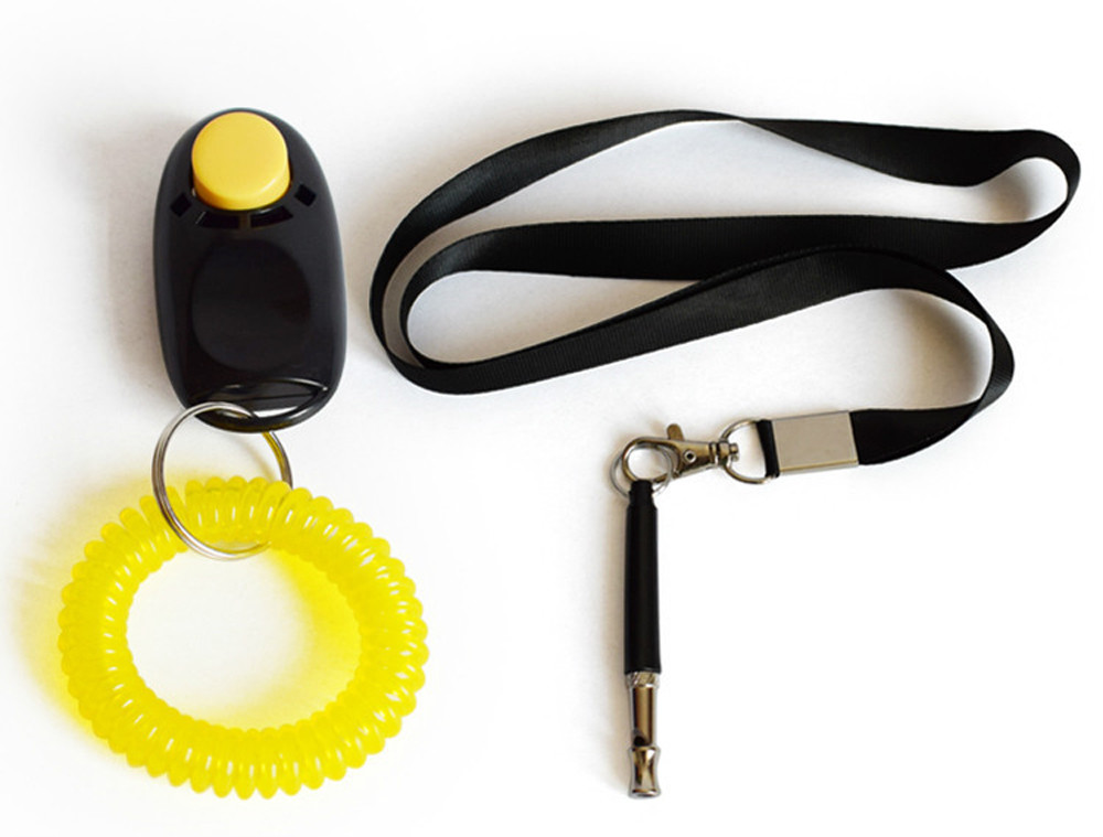 Pet Training Whistle & Clicker for Parrots