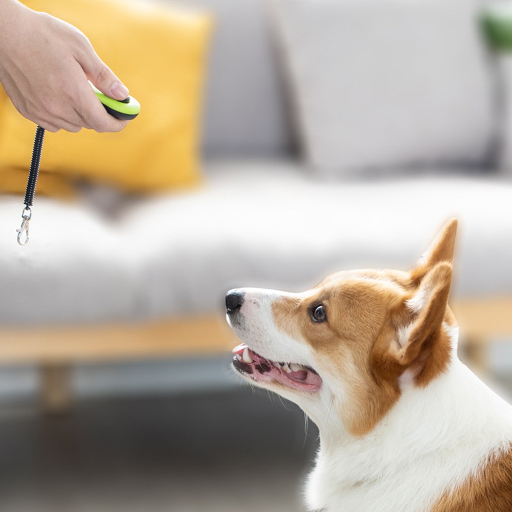 2-In-1 Pet Clicker and Dog Whistle