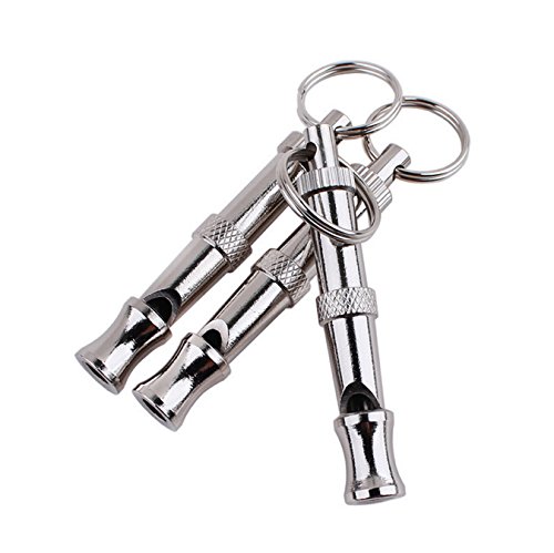 Parrot Training Whistle - Silver