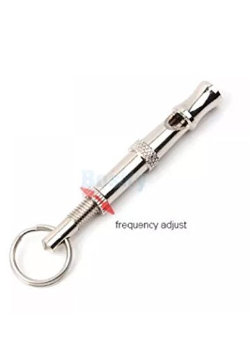 Parrot Training Whistle - Silver