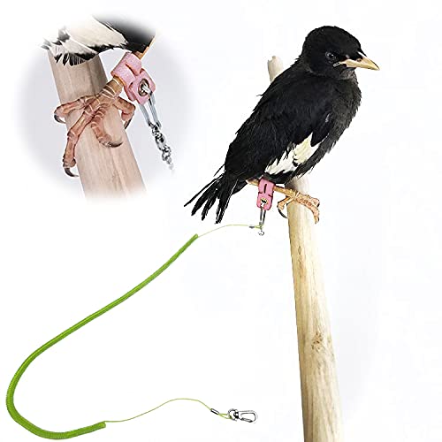 Parrot Leash with Soft Foot Loops & Training Whistle