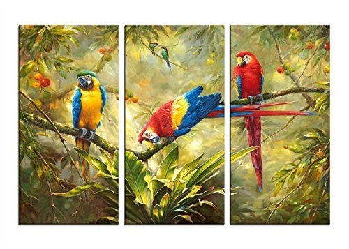 Abstract Parrot Wall-Art Canvas Print - Home Decor