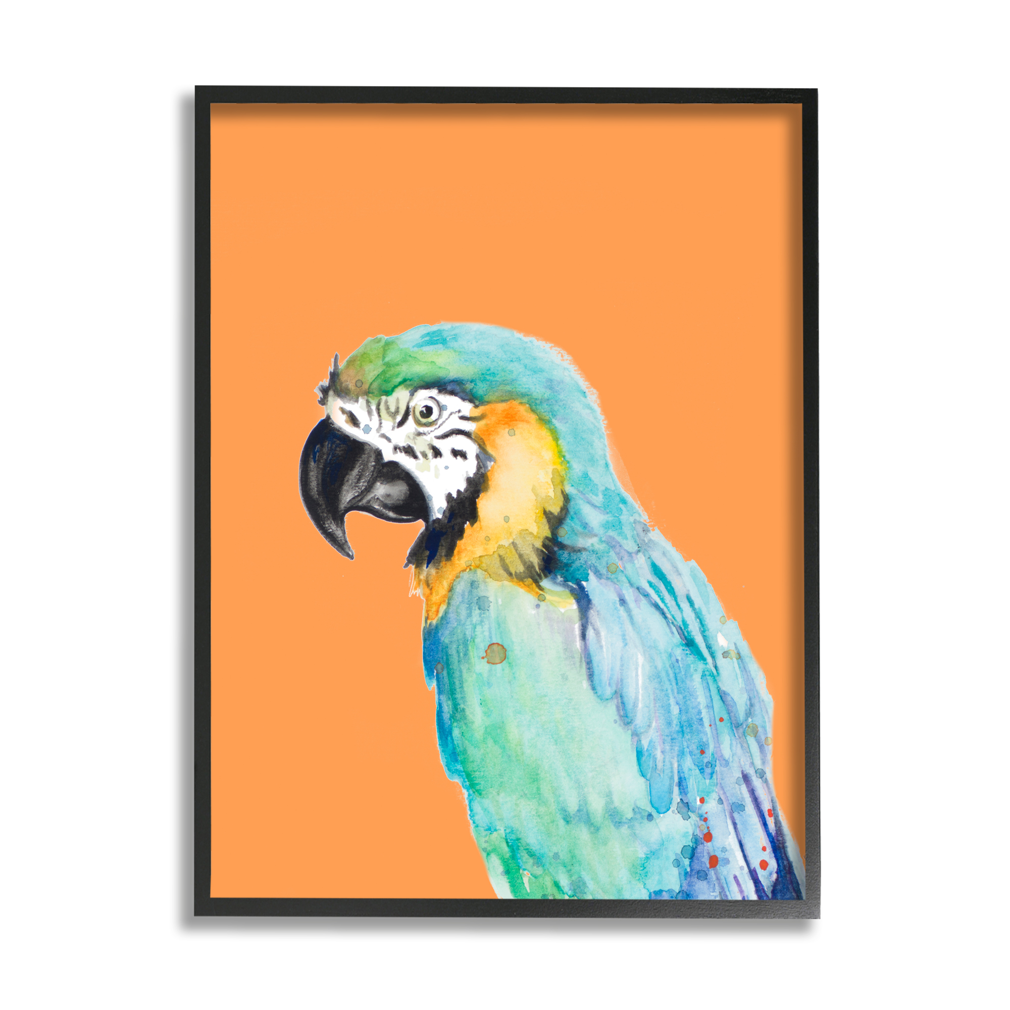 Tropical Macaw Portrait Black Framed Wall Art
