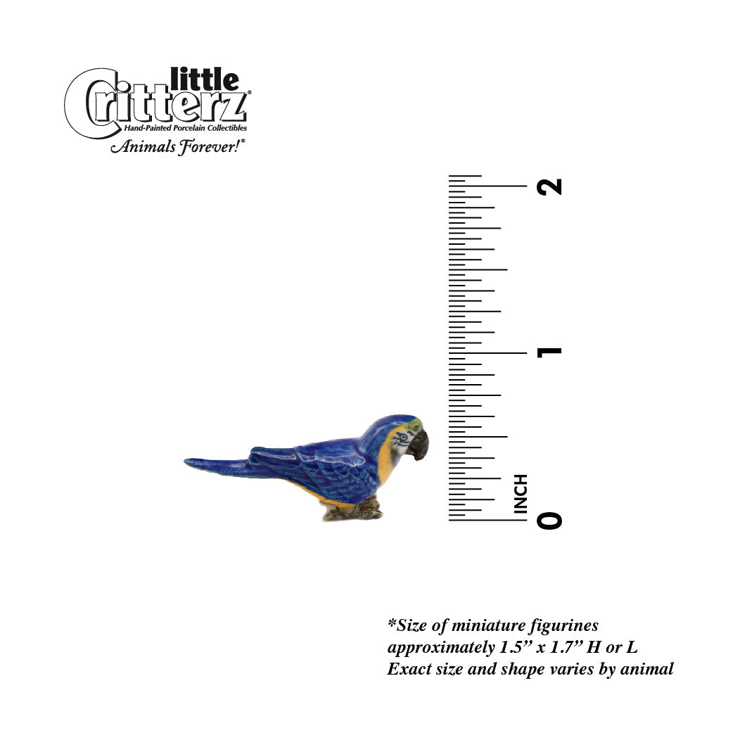 Blue Yellow Macaw Arara Miniature Figurine