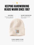 Carhartt Men's Winter Beanie in Deep White
