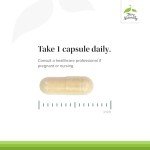 Zinc Plus Selenium for Immune Support - 60 Capsules