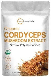 Organic Cordyceps Mushroom Extract Powder - 8 oz