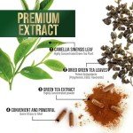 Green Tea Extract 1000mg Capsules for Energy