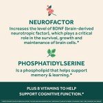 Neuriva Ultra Brain Supplement for Focus & Memory