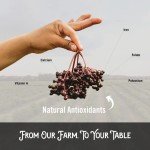 Elderberry Extract Concentrate for Immune Support