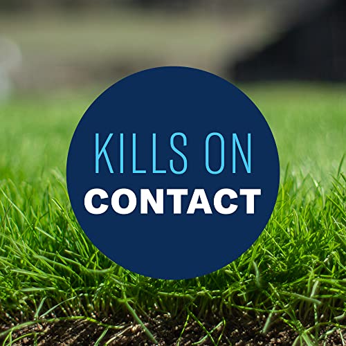 BioAdvanced Lawn Weed & Crabgrass Killer Concentrate - 40oz