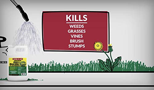 75324 Herbicide, 1 Gallon, Compare-N-Save Brand