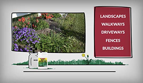 75324 Herbicide, 1 Gallon, Compare-N-Save Brand
