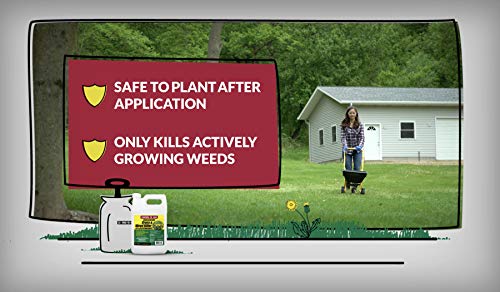 75324 Herbicide, 1 Gallon, Compare-N-Save Brand