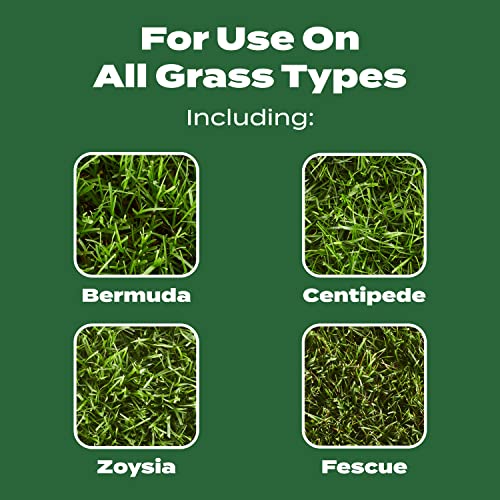 Scotts Turf Builder Lawn Food - 12.5 lbs