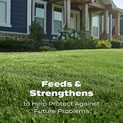 Scotts Turf Builder Lawn Food - 12.5 lbs