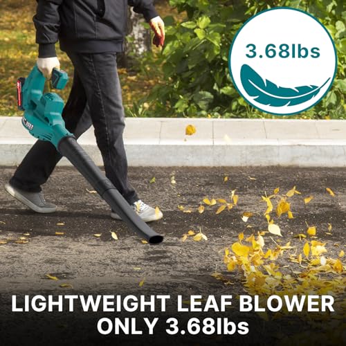 Cordless Leaf Blower with 2 Batteries, Charger & 2 Speeds