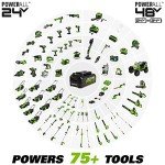 Greenworks 48V Cordless Electric Mower and Blower
