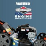 SENIX 21-Inch Gas Push Lawn Mower with Briggs Engine