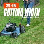 SENIX 21-Inch Gas Push Lawn Mower with Briggs Engine