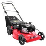 PowerSmart 22-Inch Self-Propelled Gas Lawn Mower