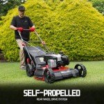PowerSmart 22-Inch Self-Propelled Gas Lawn Mower