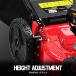 PowerSmart 22-Inch Self-Propelled Gas Lawn Mower
