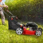 Self-Propelled Gas Push Lawn Mower with Big Wheels