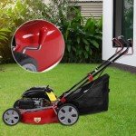 Self-Propelled Gas Push Lawn Mower with Big Wheels