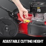 PowerSmart 21" Gas Push Lawn Mower with Mulching